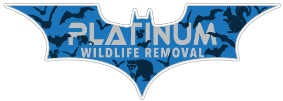Hamilton Animal Removal